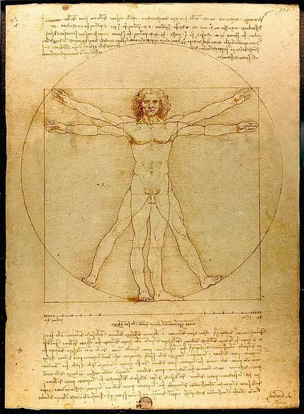 Vitruvian Man Ape Index